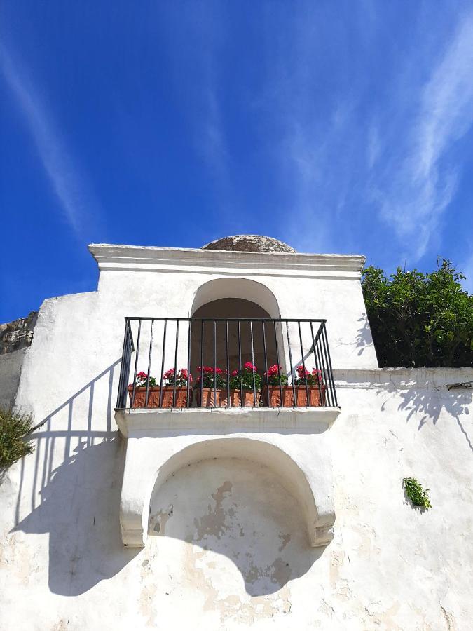 O' Suppigno - Historic House Apartment Procida Ngoại thất bức ảnh