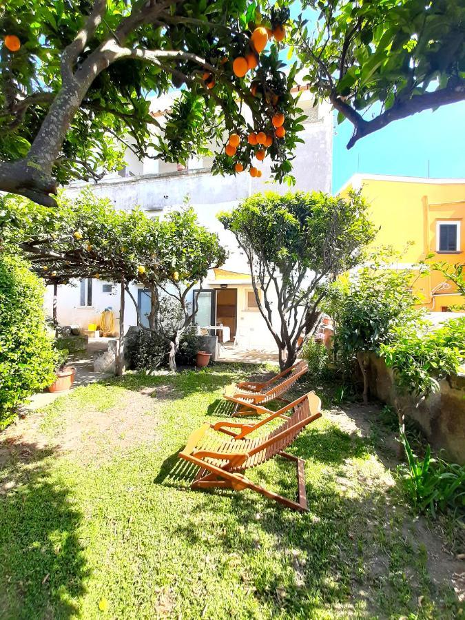 O' Suppigno - Historic House Apartment Procida Ngoại thất bức ảnh